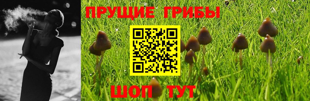 Кумертау  Псилоцибиновые грибы Cubensis  Вход с VPN  Галлюциногенные грибы Cubensis 